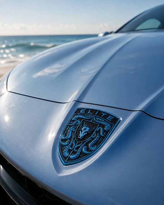 Porsche Mexico Blue Hood Emblem