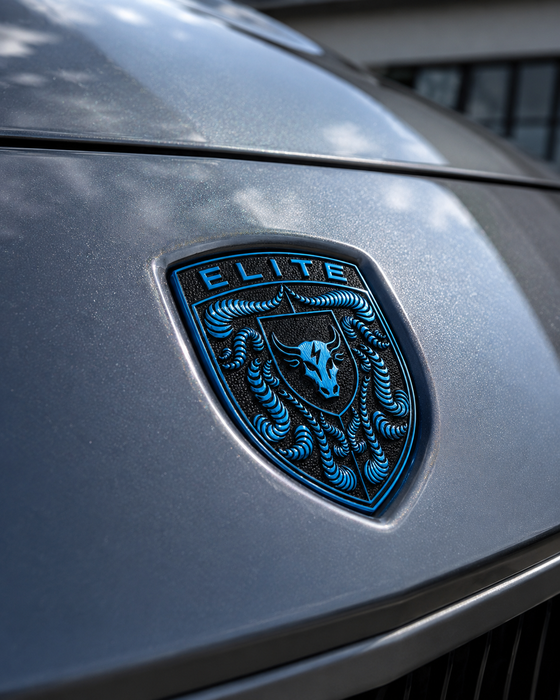 Porsche Mexico Blue Hood Emblem