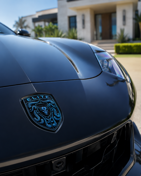 Porsche Mexico Blue Hood Emblem
