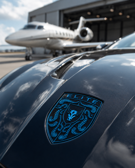 Porsche Mexico Blue Hood Emblem