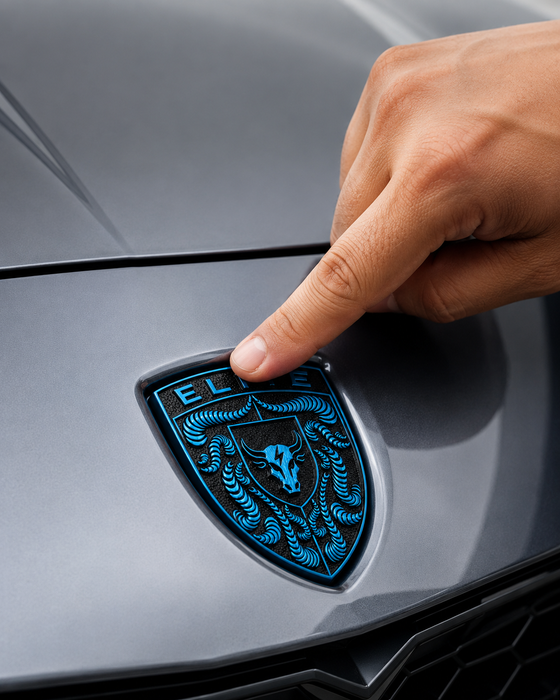 Porsche Mexico Blue Hood Emblem