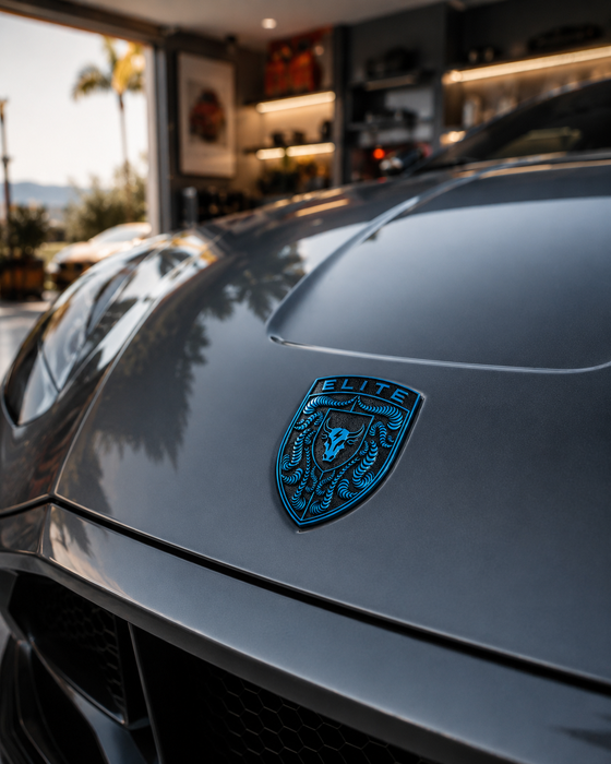 Porsche Mexico Blue Hood Emblem