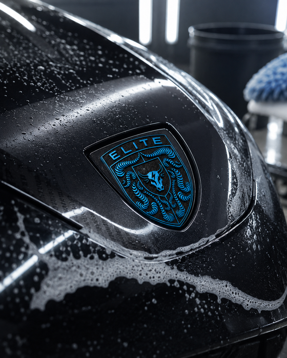 Porsche Mexico Blue Hood Emblem