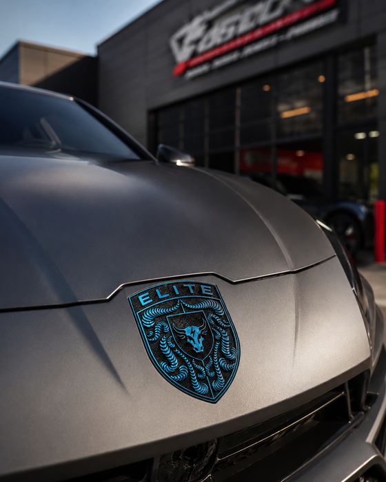 Porsche Mexico Blue Hood Emblem