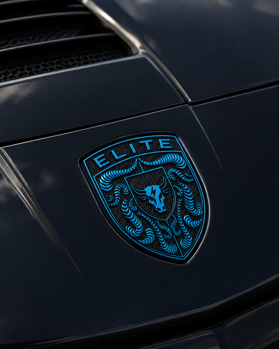 Porsche Mexico Blue Hood Emblem