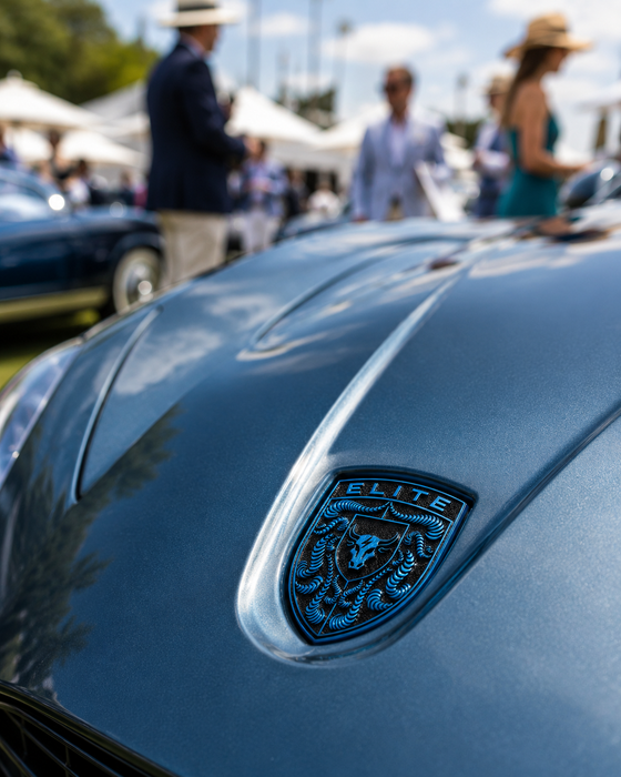 Porsche Mexico Blue Hood Emblem