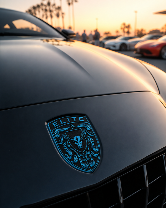 Porsche Mexico Blue Hood Emblem