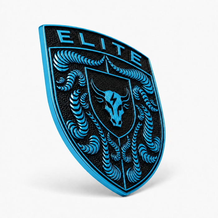 Porsche Mexico Blue Hood Emblem