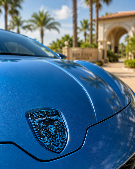 Porsche Mexico Blue Hood Emblem