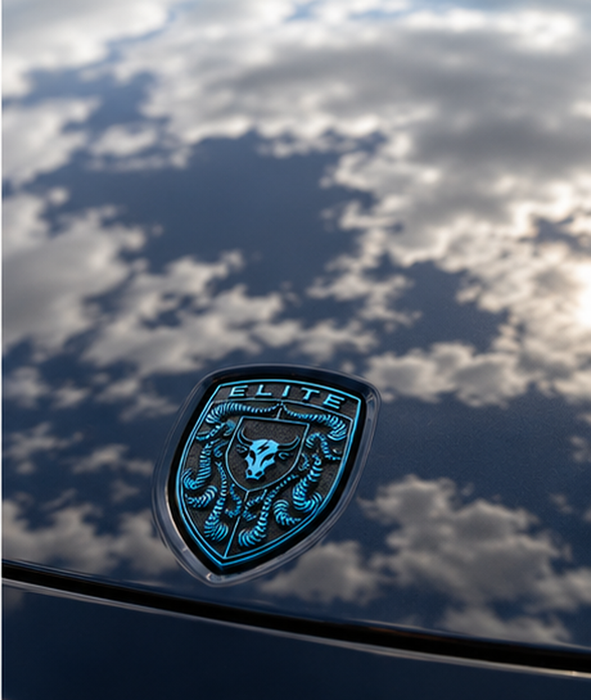 Porsche Mexico Blue Hood Emblem