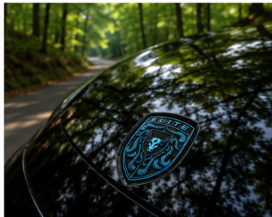 Porsche Mexico Blue Hood Emblem