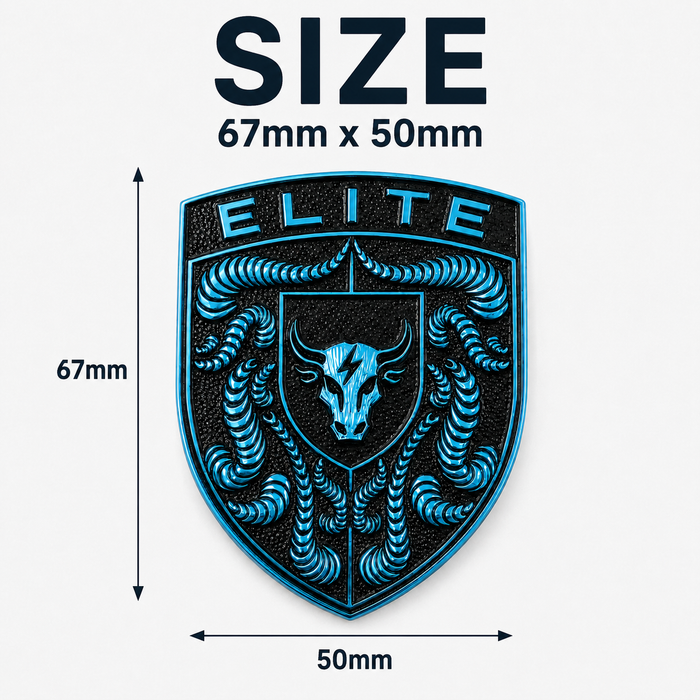 Porsche Mexico Blue Hood Emblem
