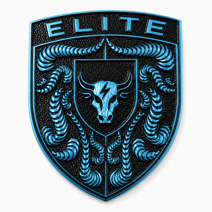 Porsche Mexico Blue Hood Emblem