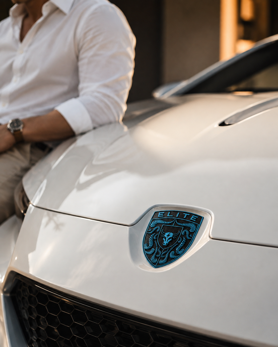 Porsche Mexico Blue Hood Emblem