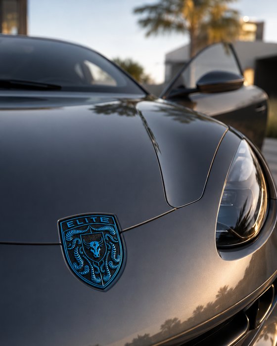 Porsche Mexico Blue Hood Emblem