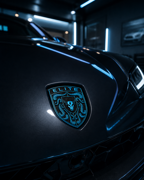 Porsche Mexico Blue Hood Emblem