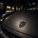 Porsche Silver & Black Hood Emblem