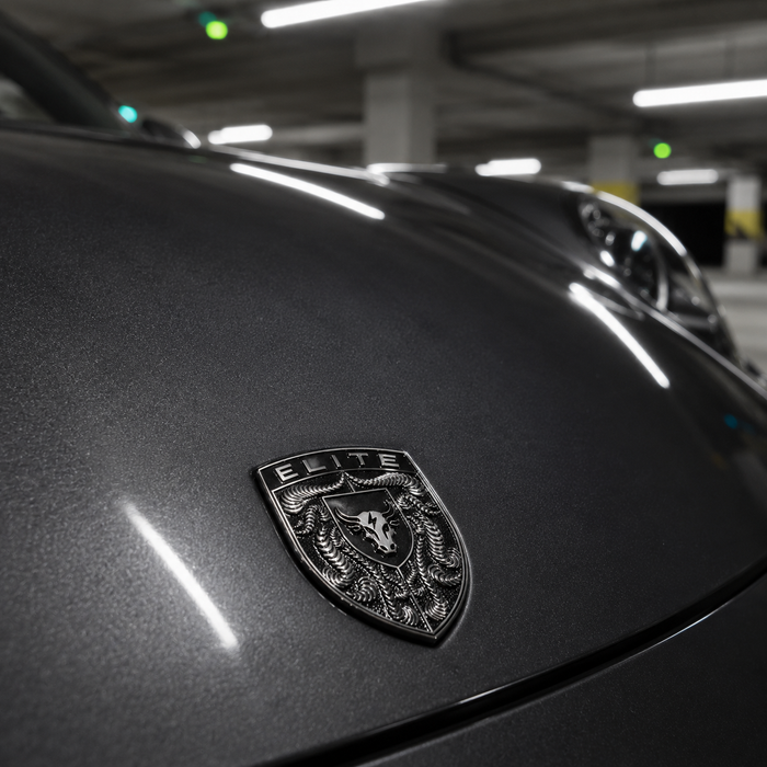 Porsche Silver & Black Hood Emblem