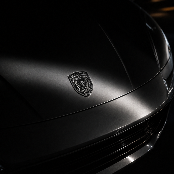 Porsche Silver & Black Hood Emblem