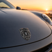 Porsche Silver & Black Hood Emblem
