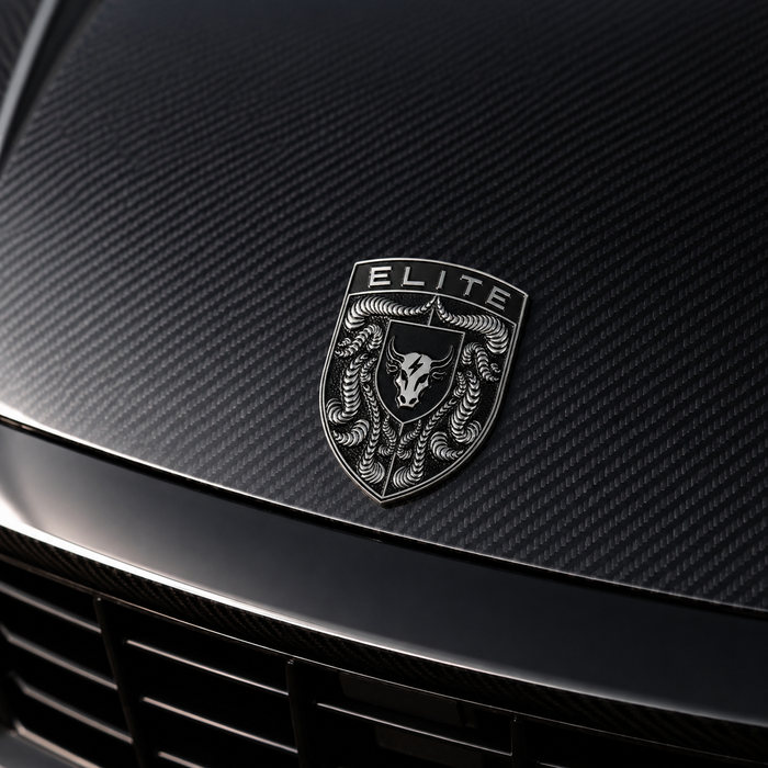 Porsche Silver & Black Hood Emblem