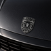Porsche Silver & Black Hood Emblem