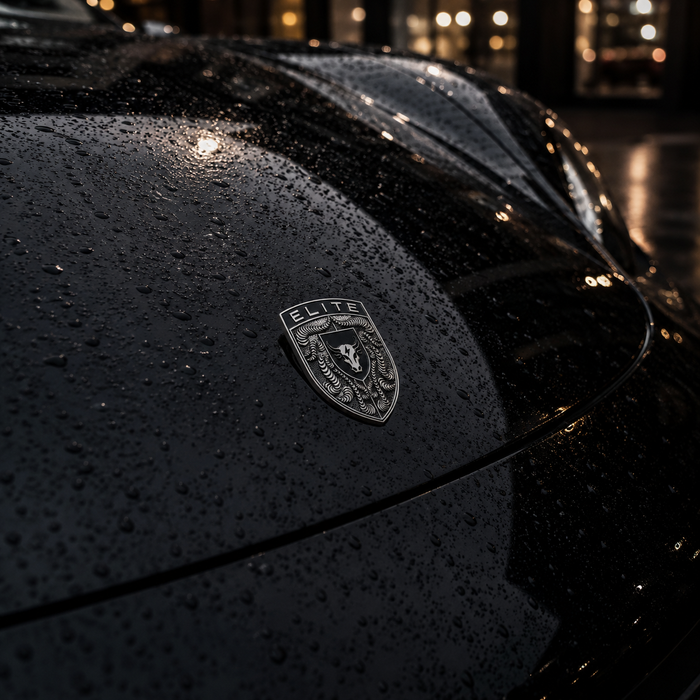 Porsche Silver & Black Hood Emblem