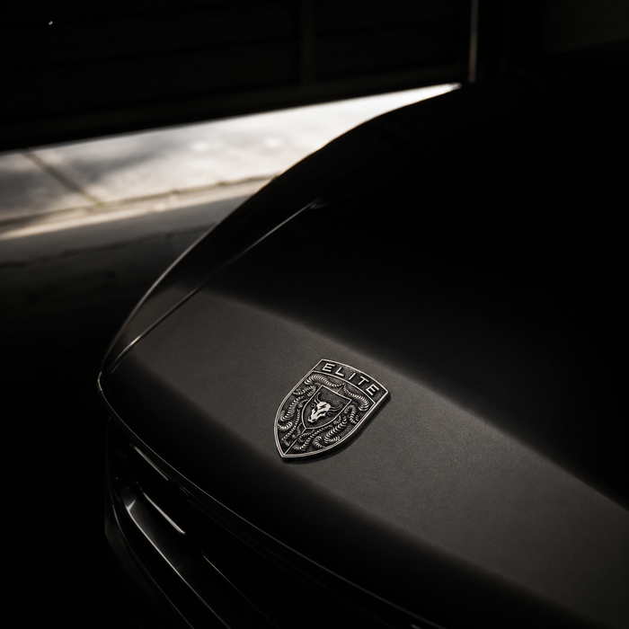 Porsche Silver Hood Emblem