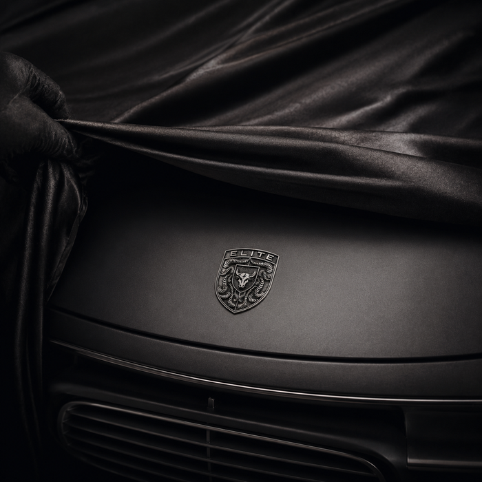 Porsche Silver Hood Emblem