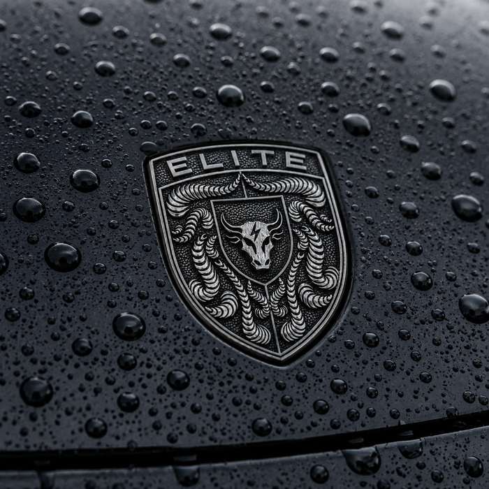 Porsche Silver Hood Emblem