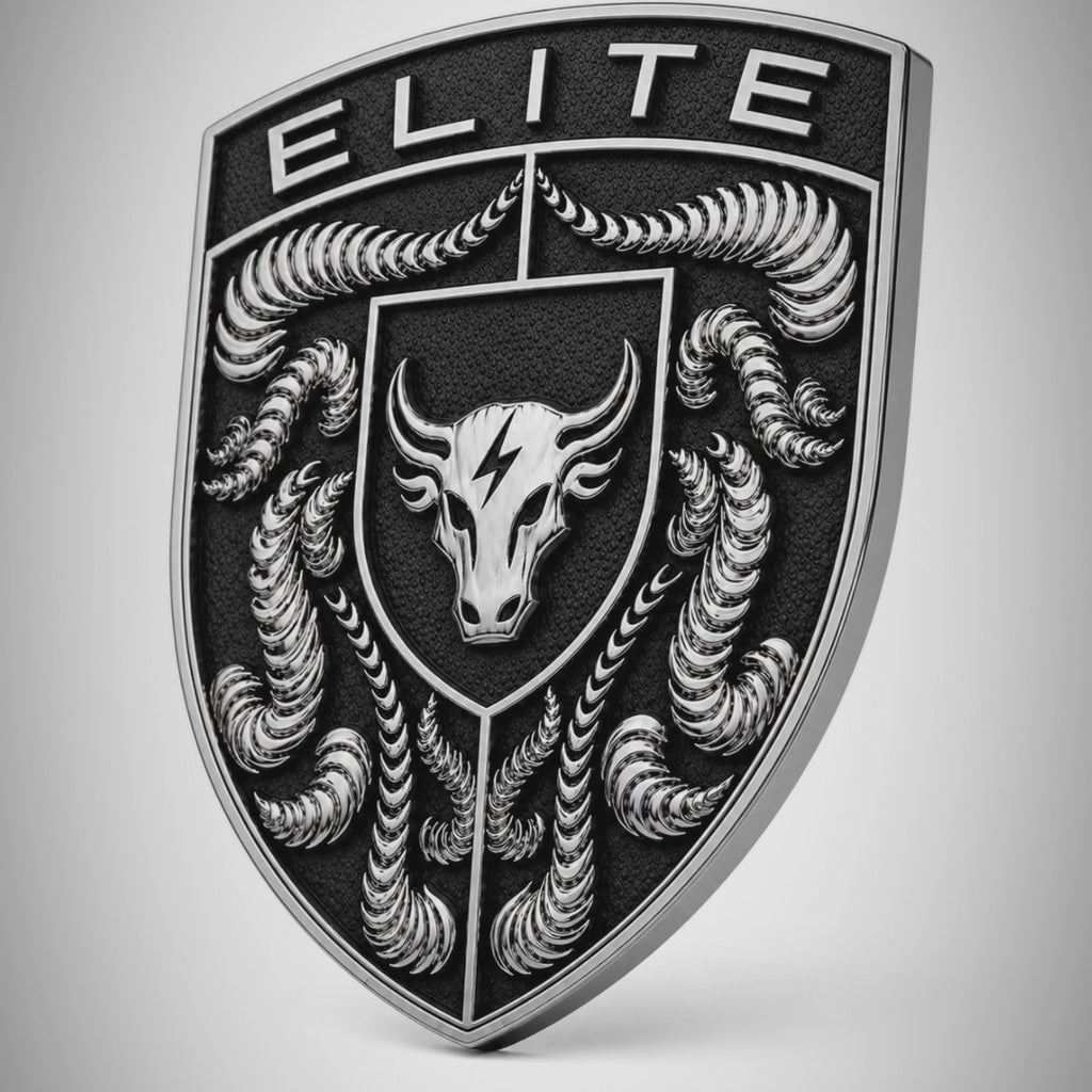 Porsche Silver & Black Hood Emblem